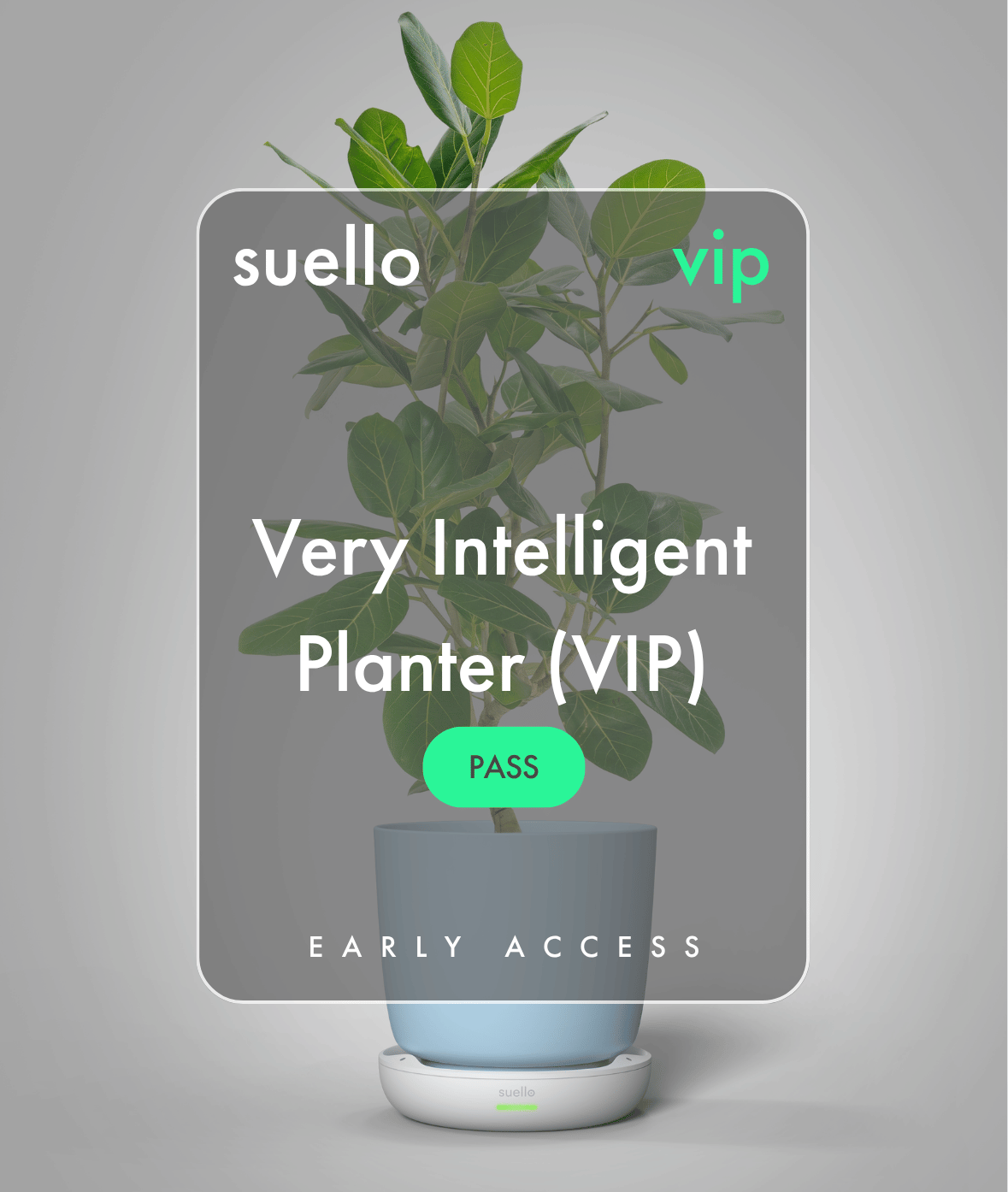 Very Intelligent Planter (VIP) $1 Pass